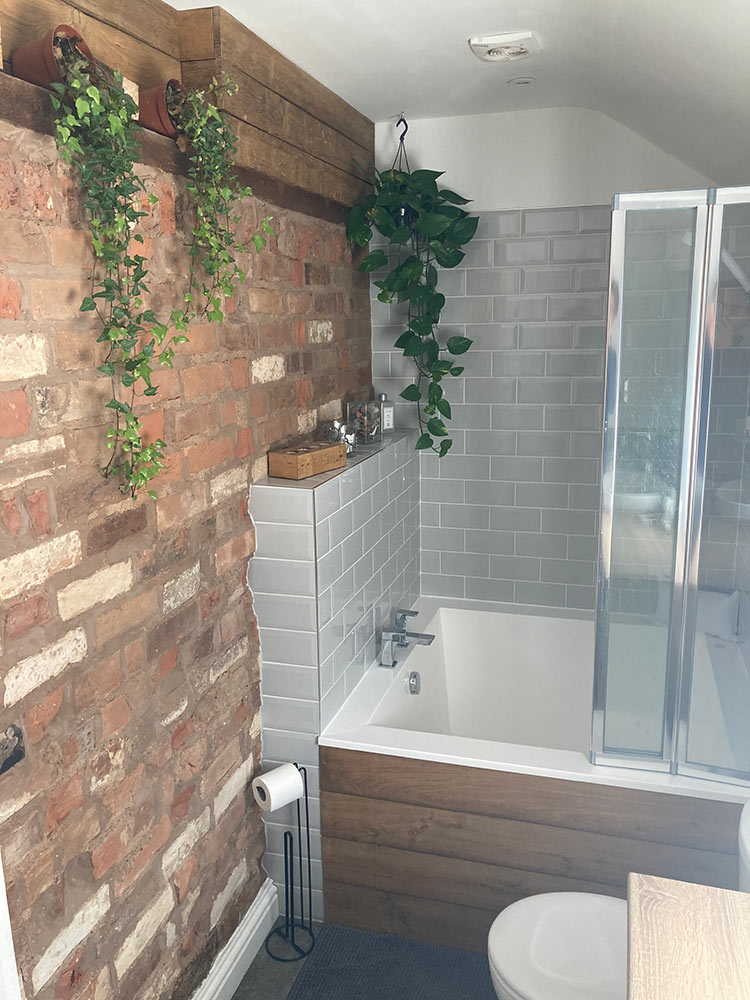 Original brick bathroom wall